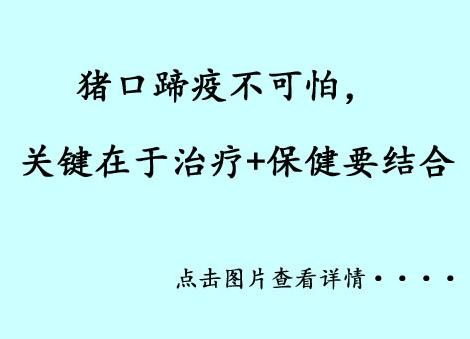 豬口蹄疫的具體治療方案