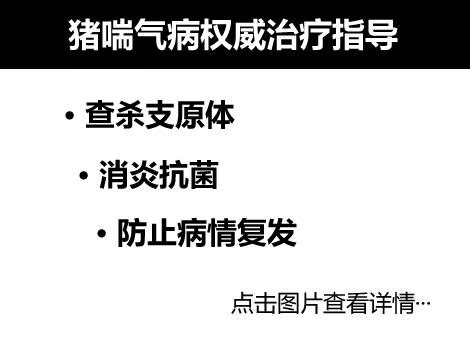 豬咳嗽喘氣權(quán)威治療方法