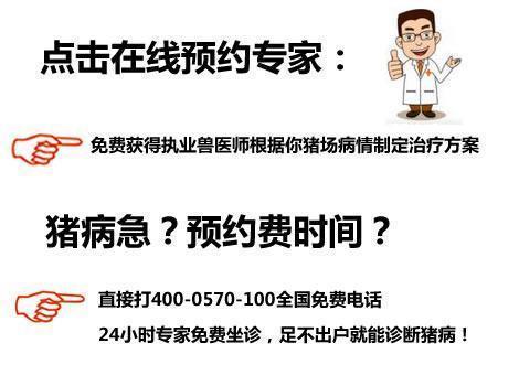 豬腿疼用什么藥治療